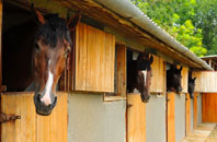 free Abbeydale Park stable construction quotes